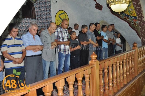 3ed ad7a ma7modiya (34).JPG